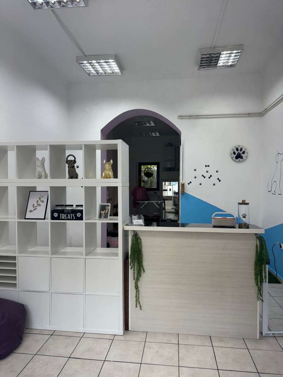 Recepcija salona BALU